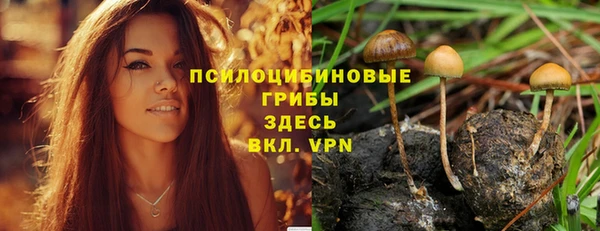 прущий лед Зеленодольск