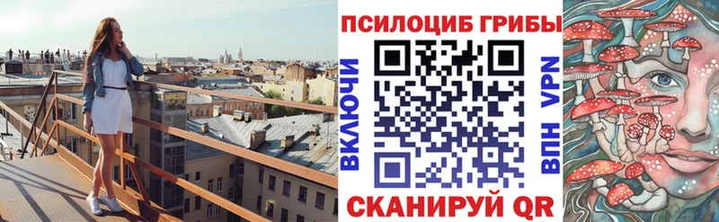 Купить Игарка Псилоцибиновые грибы Cubensis